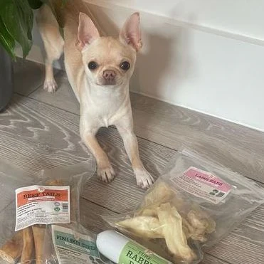 Lamb Ears for Dogs - Image 2