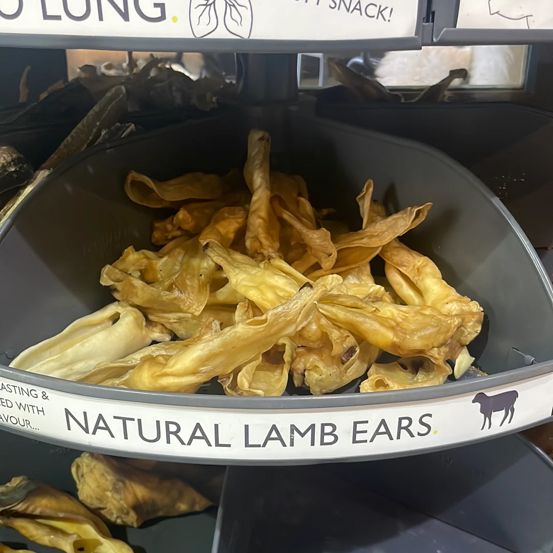 Lamb Ears for Dogs - Image 3