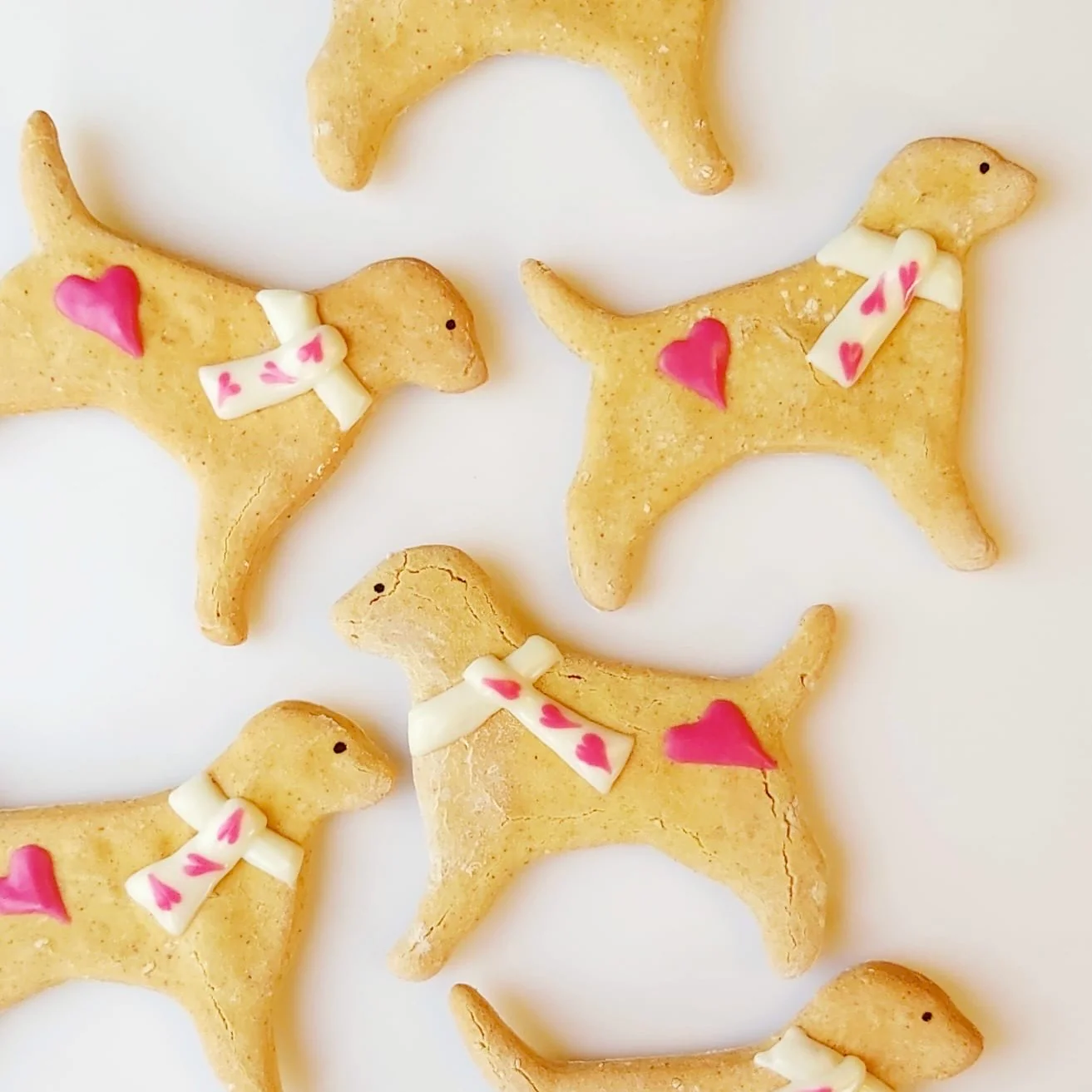 Large Dog in Scarf Biscuits for Dogs - Image 4
