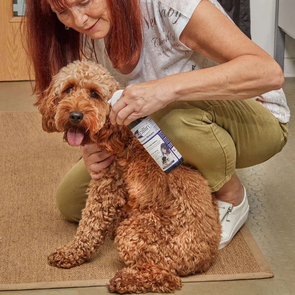 Leucillin Antiseptic Multi-Pet Skin Care - Image 2
