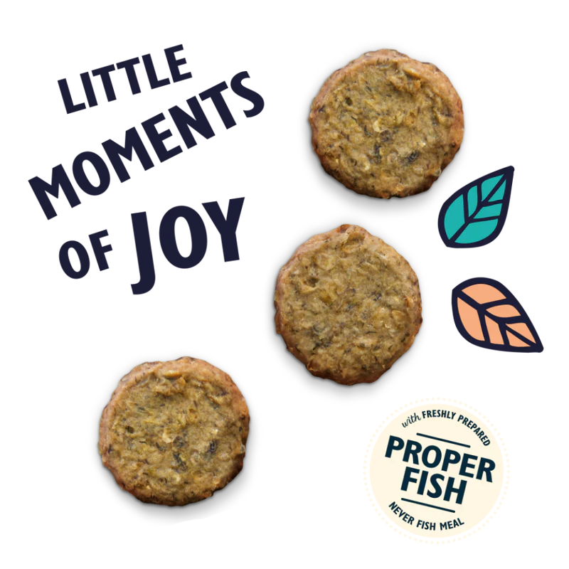 Lily's Kitchen Salmon Fishcake Dog Treats - Image 2