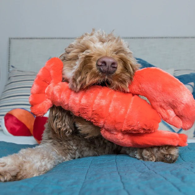 Fluff & Tuff Manny Lobster - Image 2