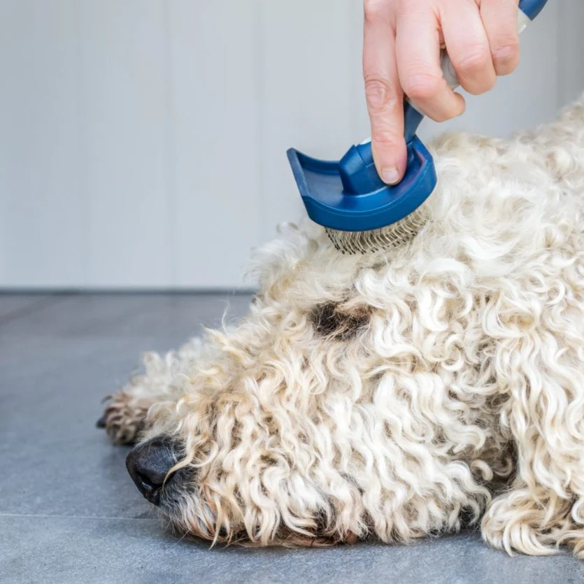 Mikki Doodles Grooming Kit - Image 3
