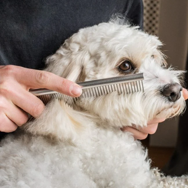 Mikki Doodles Grooming Kit - Image 4