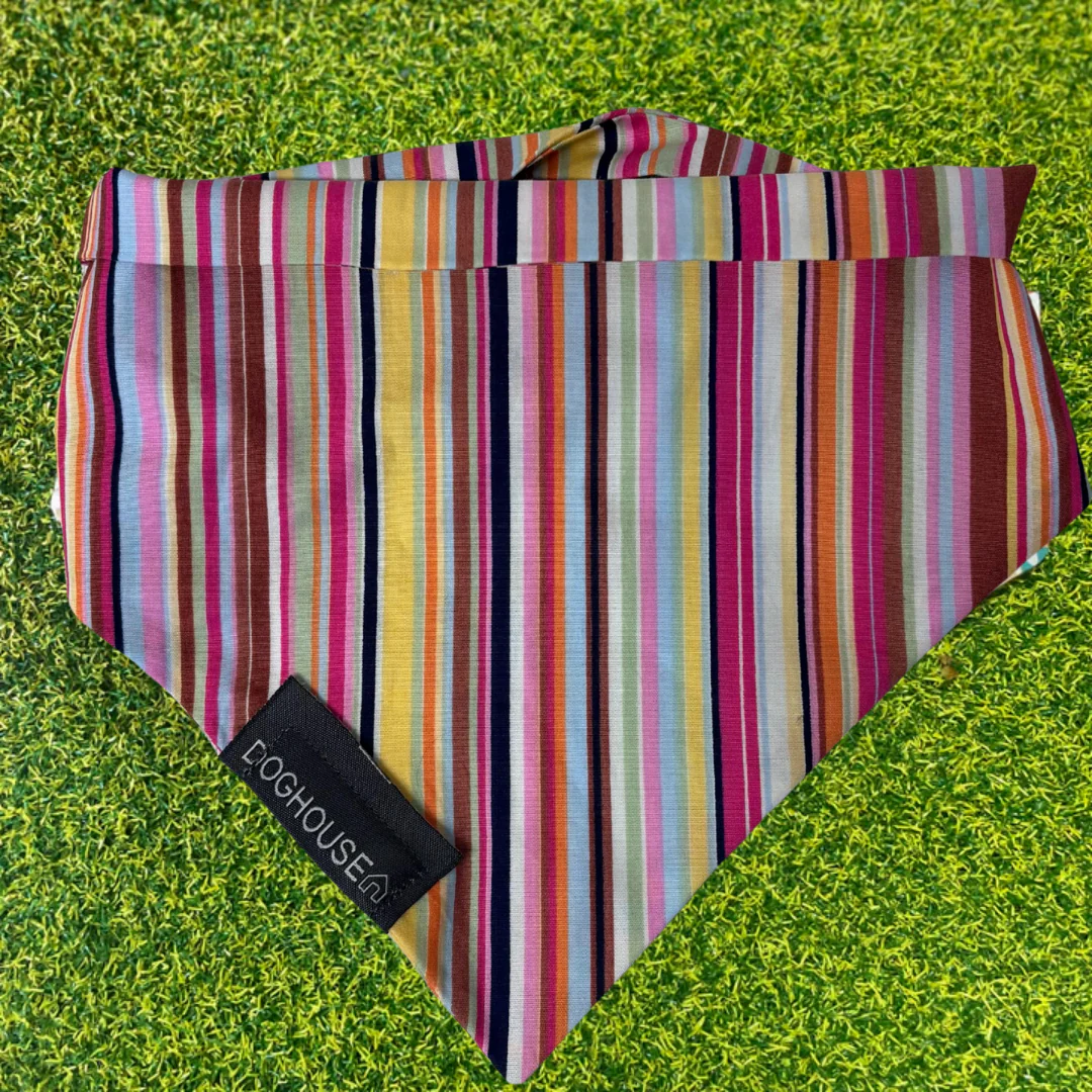 Doghouse Multi Stripe Dog Bandana