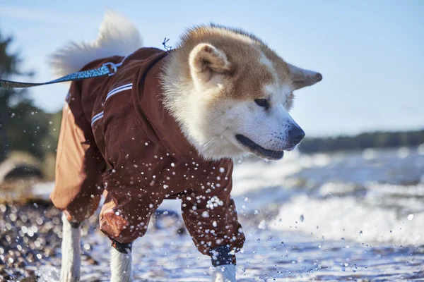Hurtta Mudventure Eco Overall Dog Coat - Image 7