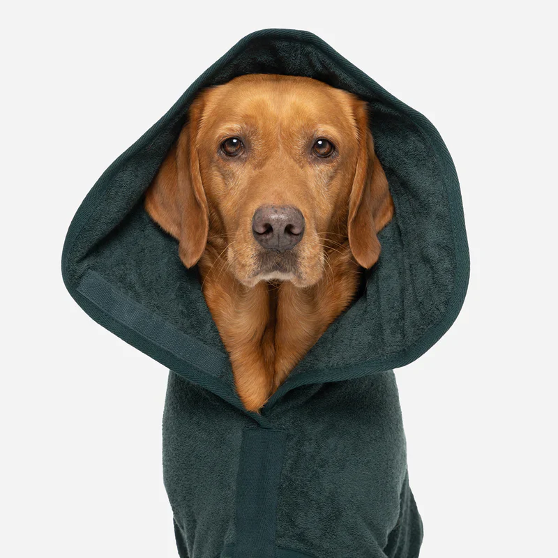 Ruff and Tumble Dog Drying Coat - Forest Green - Image 3