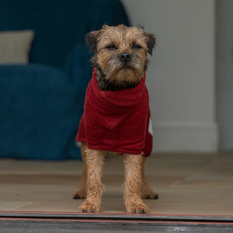 NEW Ruff and Tumble Dog Drying Coat - Rosehip Red - Image 3