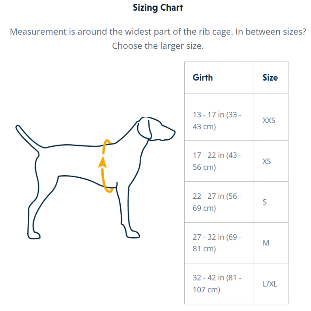Ruffwear Flagline™ Dog Harness with Handle - Image 3