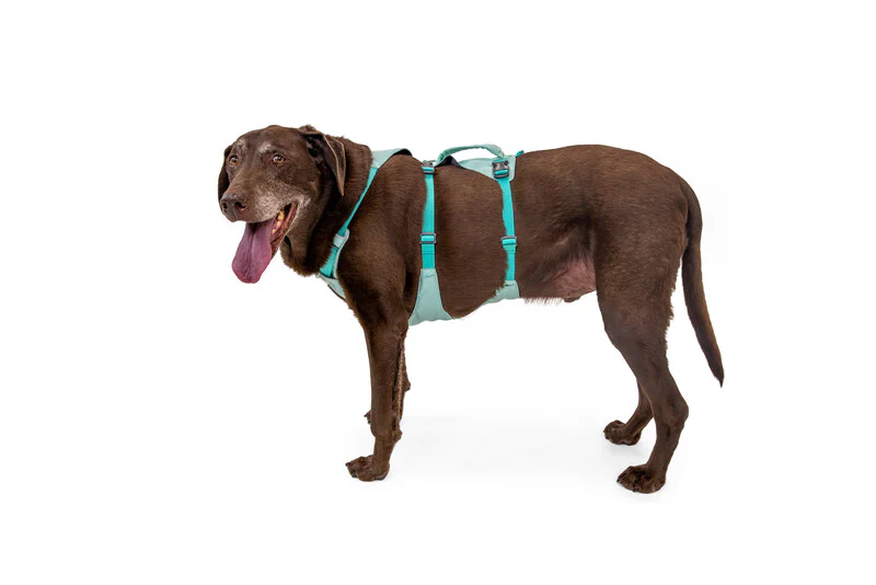 Ruffwear Flagline™ Dog Harness with Handle - Image 4