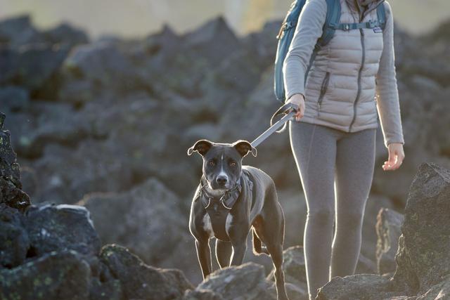 Ruffwear Front Range® Dog Lead - Image 3