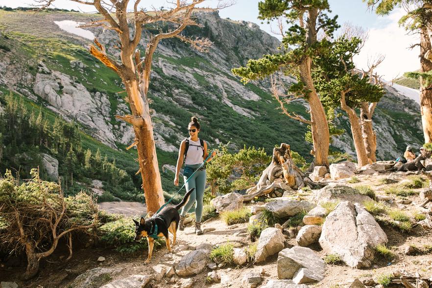 Ruffwear Front Range® Dog Lead - Image 5