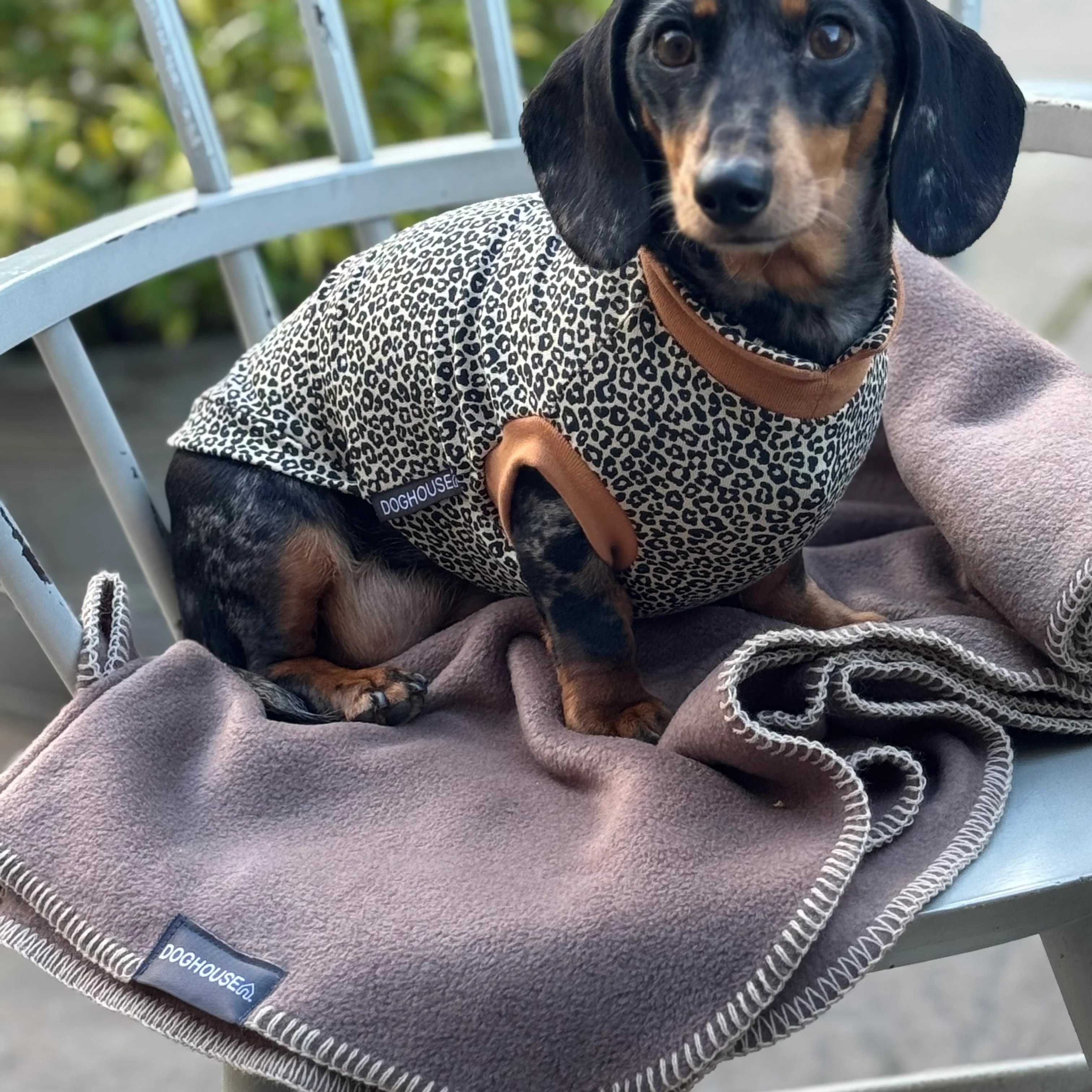 NEW Doghouse Single Stitched Blankets for Dogs - Image 3