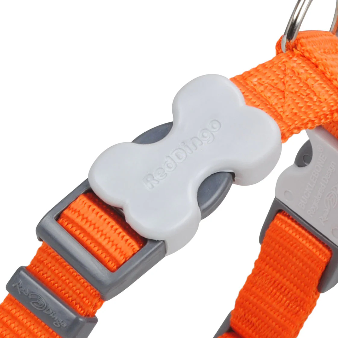 Simply Orange Dog Collar by Red Dingo - Image 4