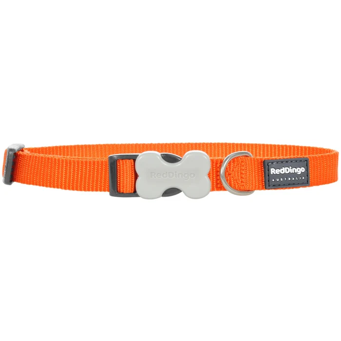 Simply Orange Dog Collar by Red Dingo - Image 5
