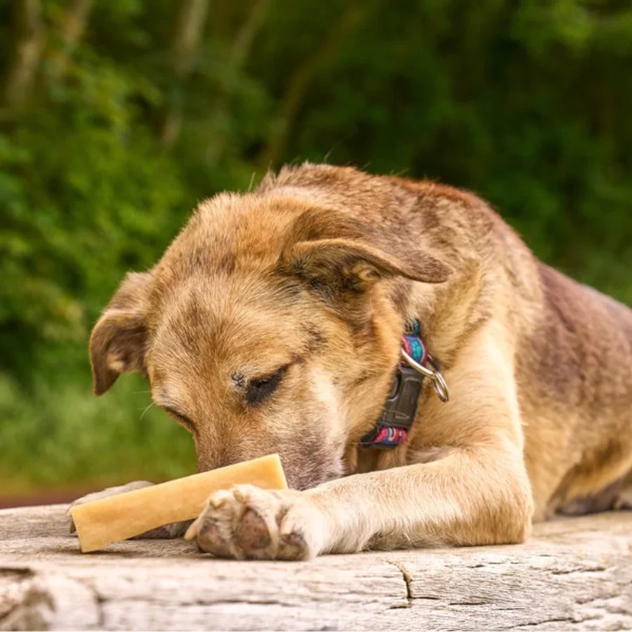 Original Yak Chew for Dogs - Image 2
