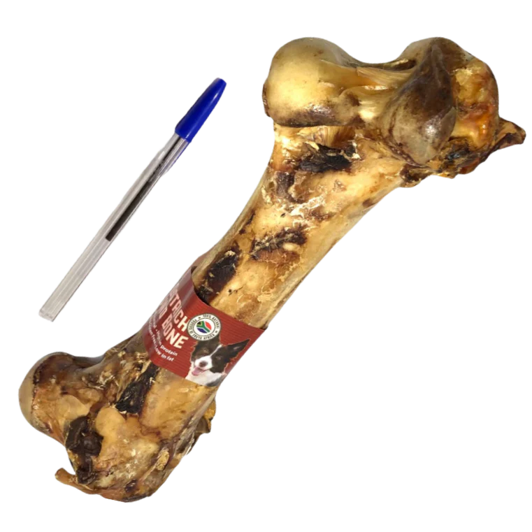 Ostrich Dino Bone - Image 3