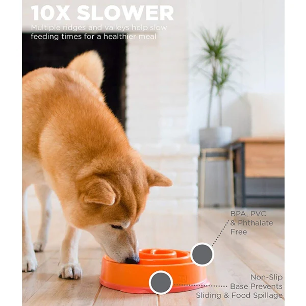 Outward Hound Fun Feeder Swirl Orange - Image 4