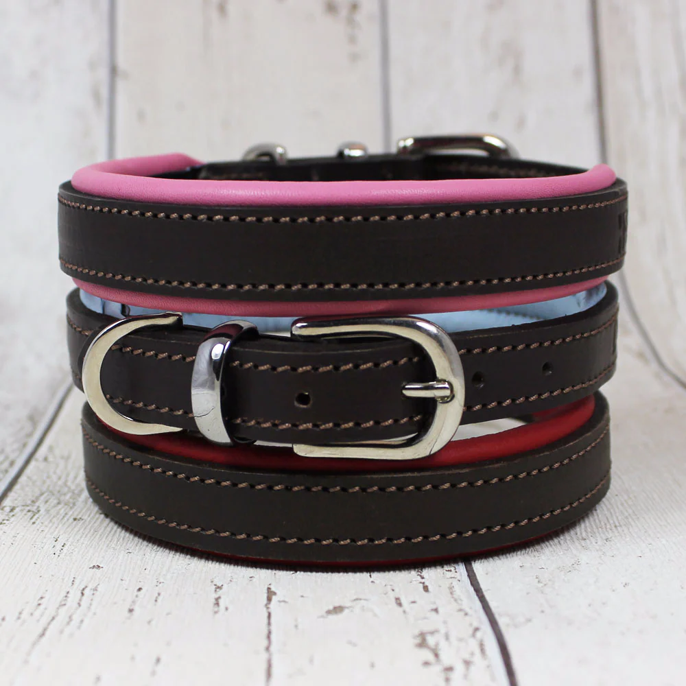 D&H Padded Pastel Real Leather Dog Collar - Image 2