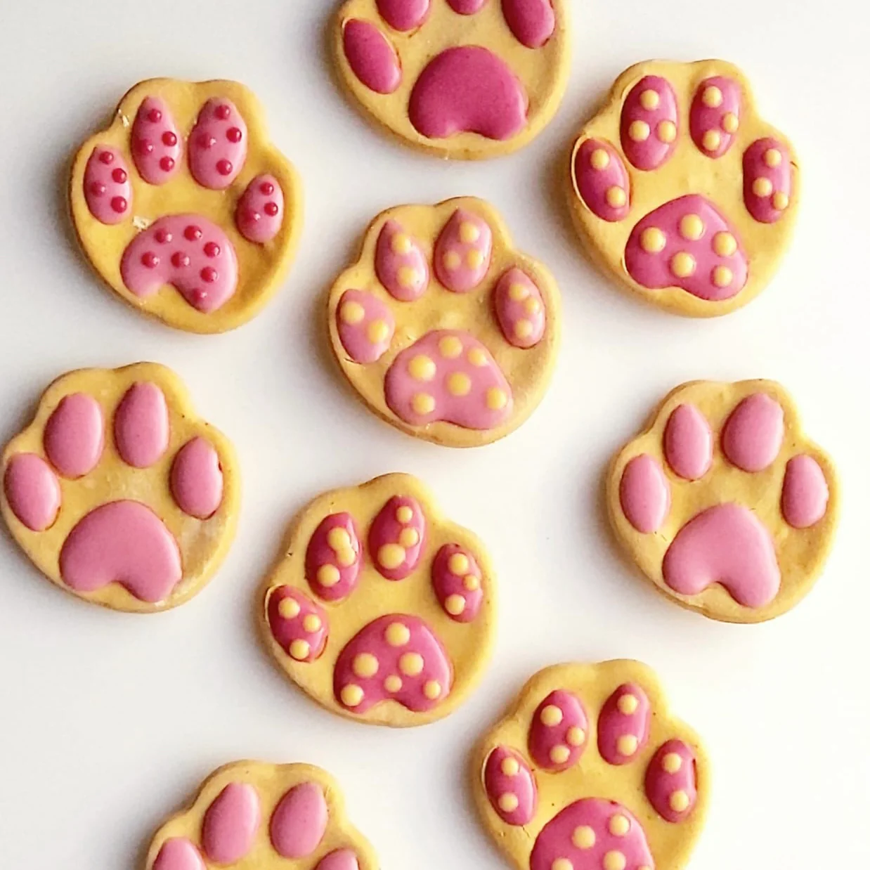 Paw Print Biscuits for Dogs - Image 4