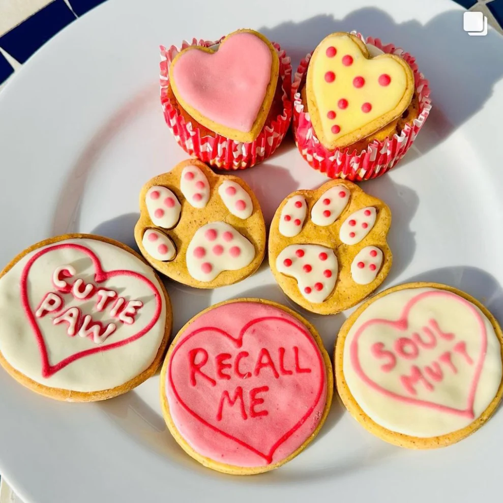 Paw Print Biscuits for Dogs - Image 6