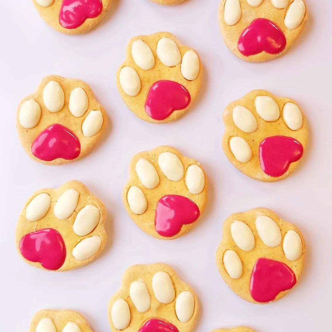Paw Print Biscuits for Dogs - Image 8