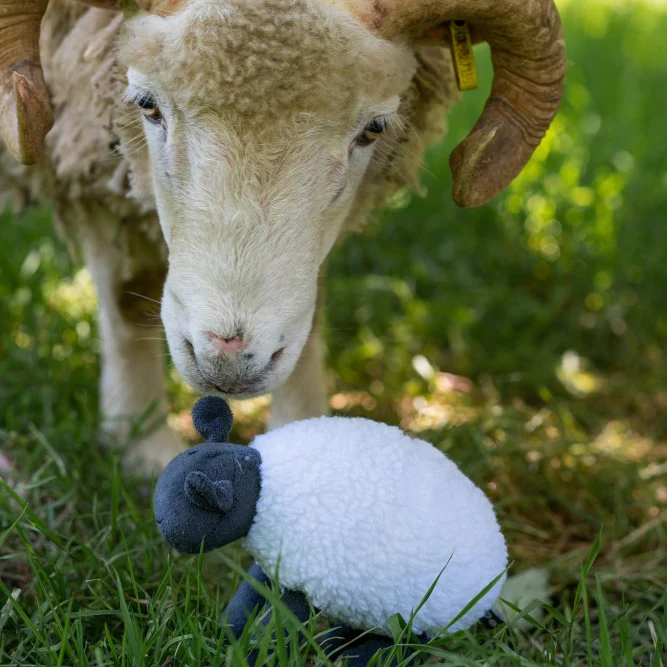 PetFace Stanley Sheep Plush Toy - Image 2