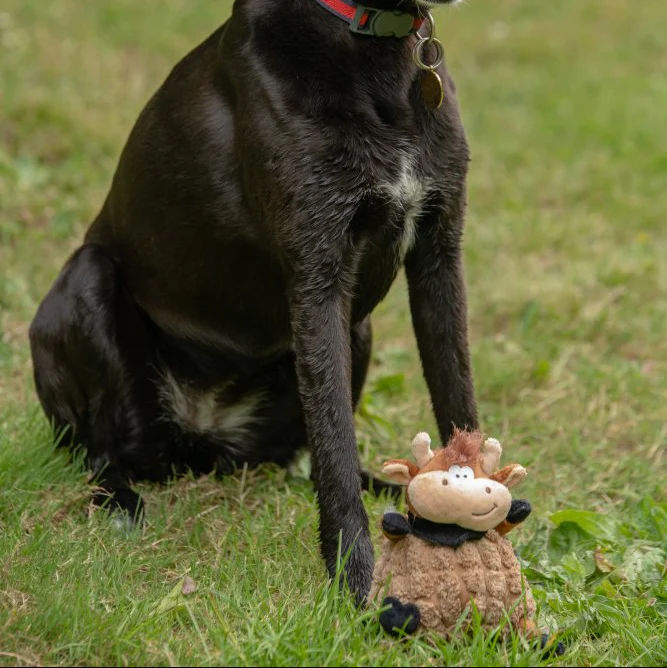 PetFace Chunky Cow Plush Toy - Image 2