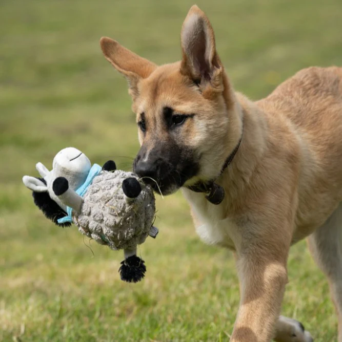 PetFace Dumpy Donkey Plush Dog Toy - Image 13