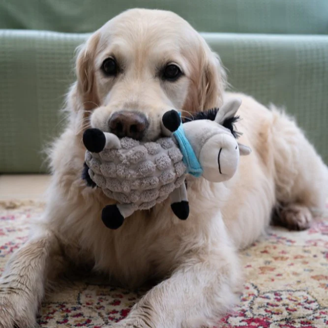 PetFace Dumpy Donkey Plush Dog Toy - Image 9
