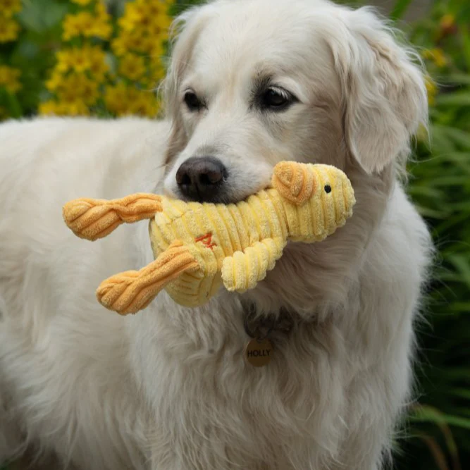 PetFace Little Denny Duckling Plush Toy - Image 7