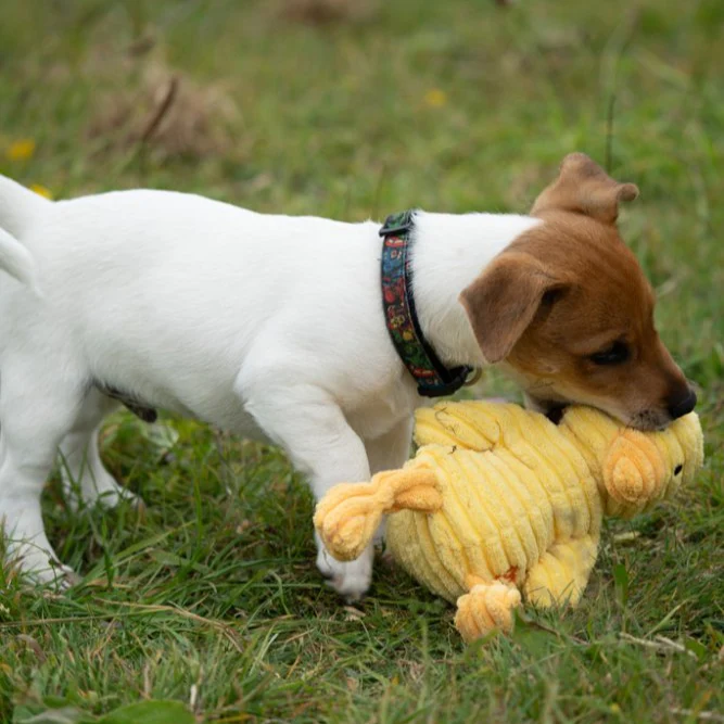 PetFace Little Denny Duckling Plush Toy - Image 8