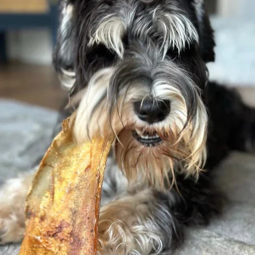 Premium Moon Bone For Dogs - Image 2