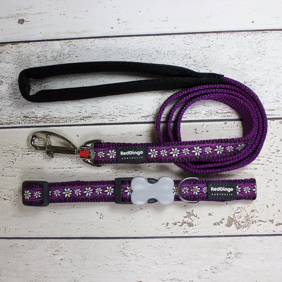 Purple Daisy Dog Lead by Red Dingo - Image 4