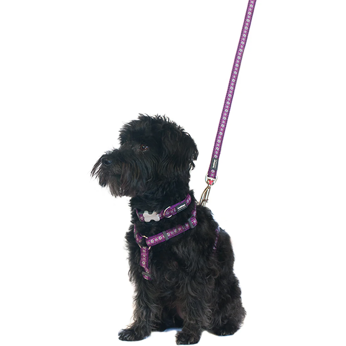 Purple Daisy Dog Lead by Red Dingo - Image 5