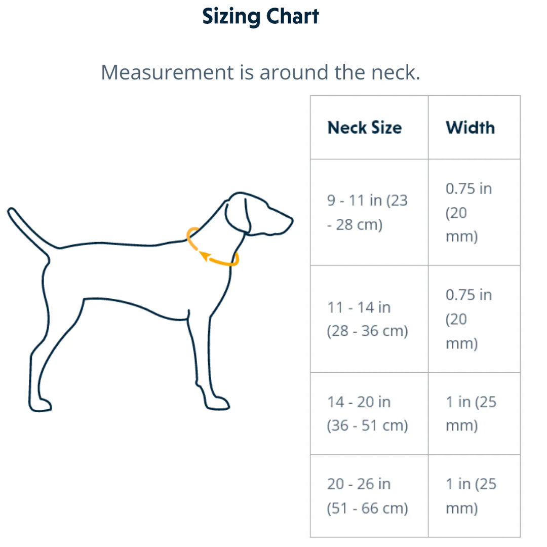 Ruffwear Hi & Light™ Everyday Dog Collar - Image 6