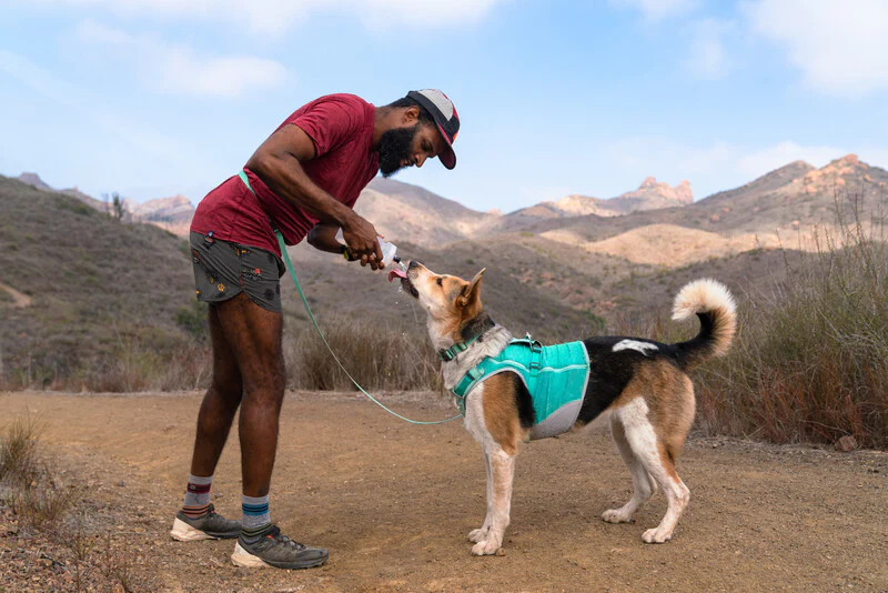 Ruffwear Hi & Light™ Everyday Dog Collar - Image 8