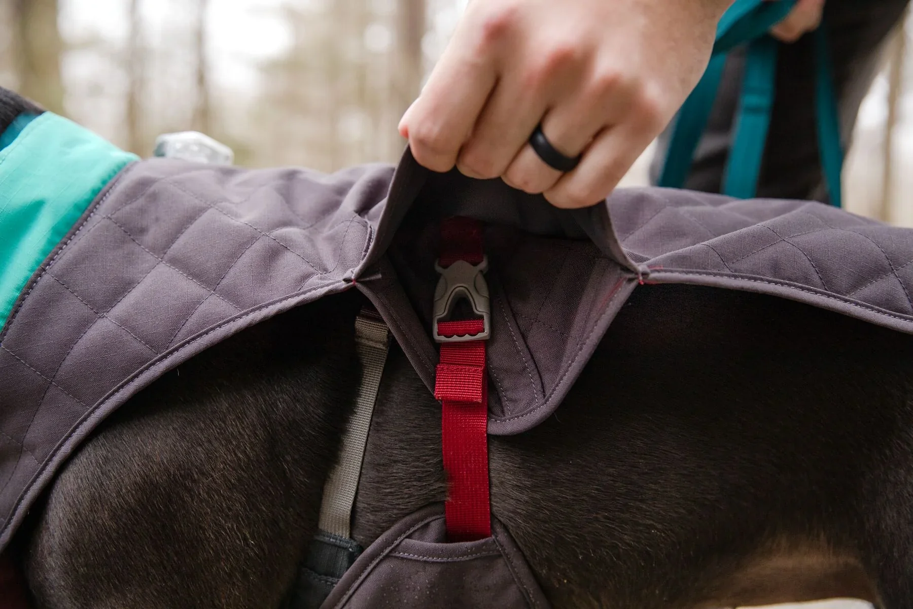 Ruffwear Stumptown Quilted Dog Jacket - Image 7