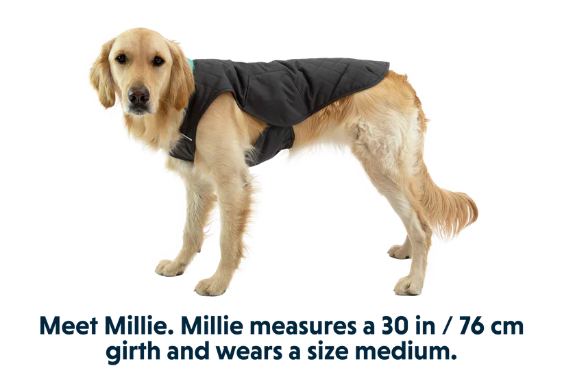 Ruffwear Stumptown Quilted Dog Jacket - Image 8