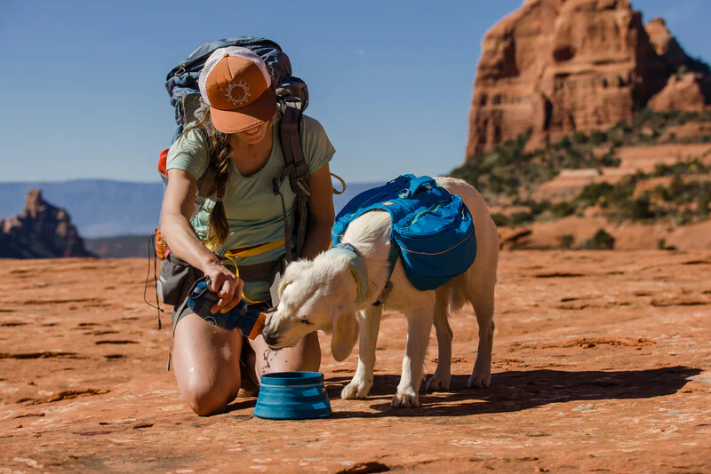 Ruffwear Swamp Cooler™ Cooling Neck Gaiter for Dogs - Image 5