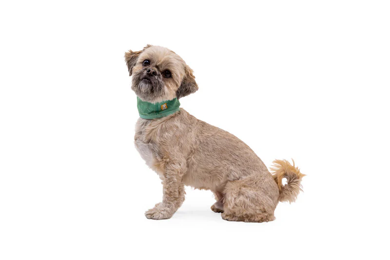 Ruffwear Swamp Cooler™ Cooling Neck Gaiter for Dogs - Image 7