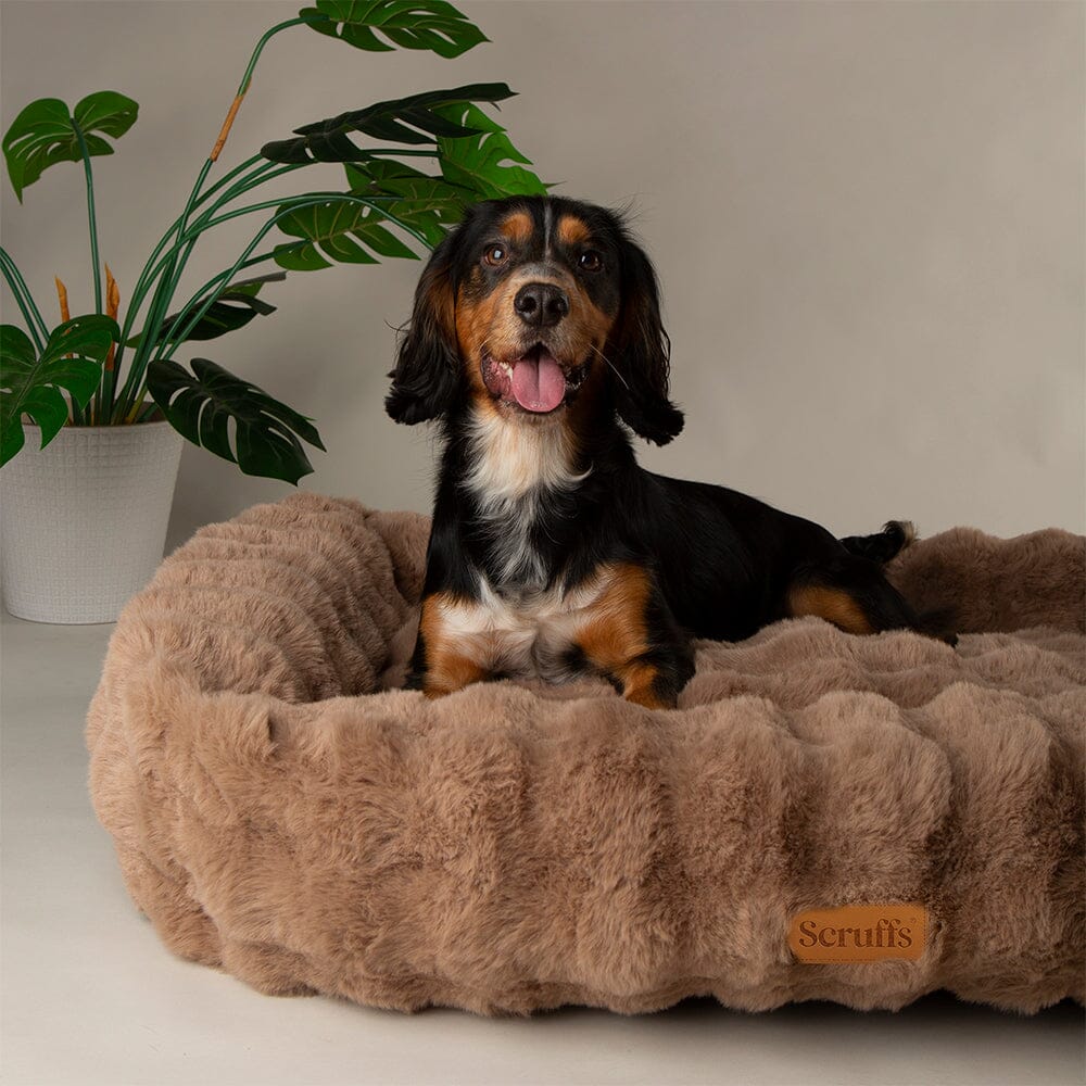 Scruffs Alpine Box Bed for Dogs - Image 2