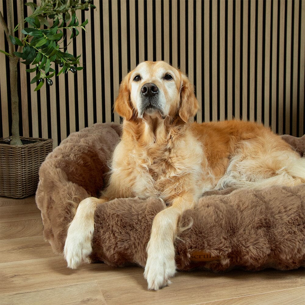 Scruffs Alpine Box Bed for Dogs - Image 6