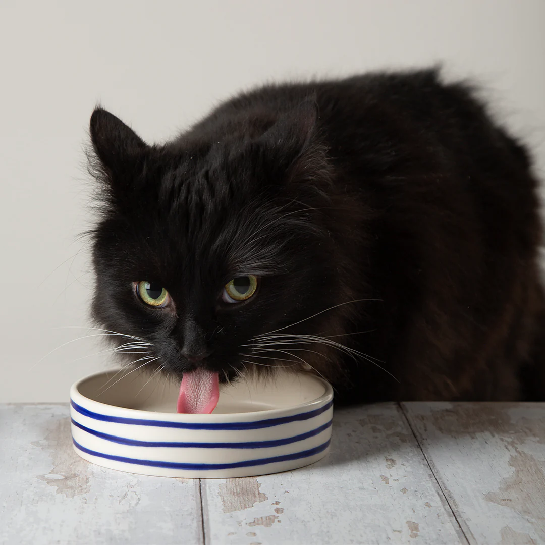 Scruffs Coastal Bowls - Image 7
