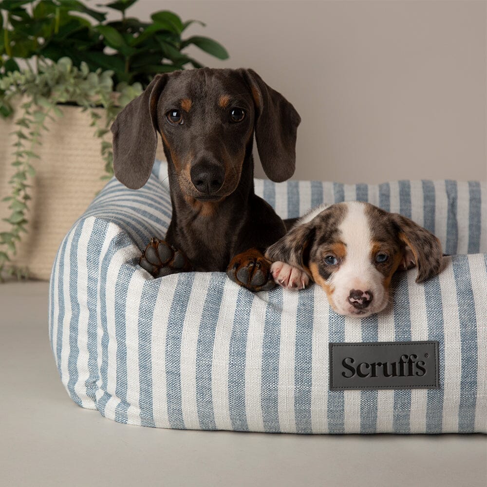 Scruffs Blue Coastal Dog Bed - Image 4