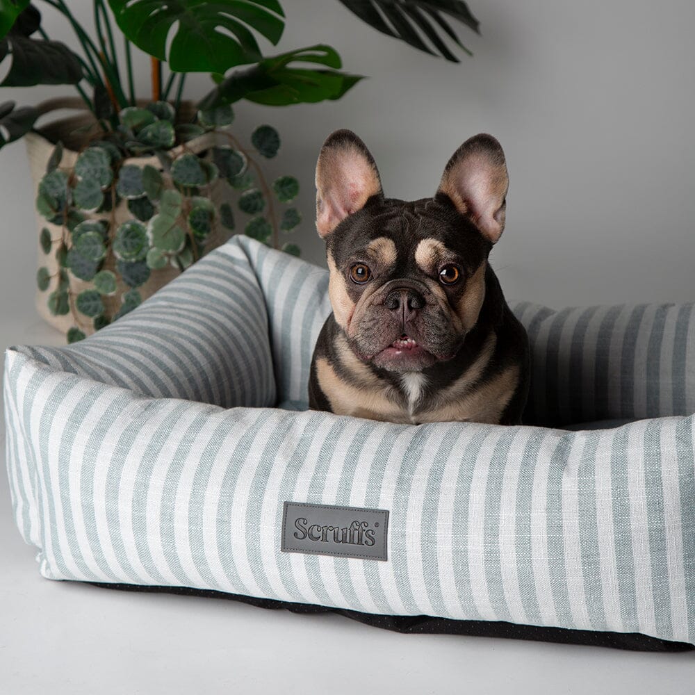 Scruffs Green Coastal Dog Bed - Image 2