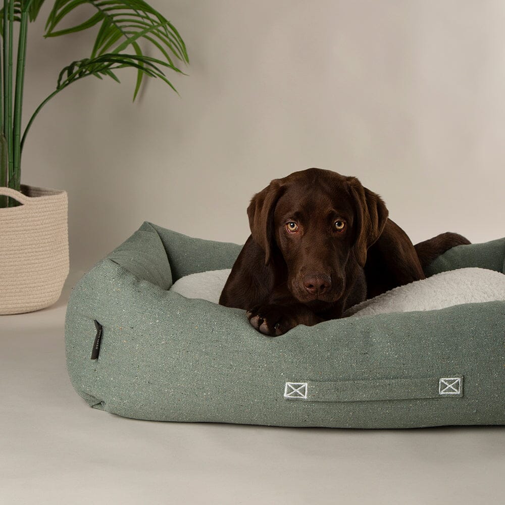 Scruffs Eco Eden Box Bed for Dogs - Image 4