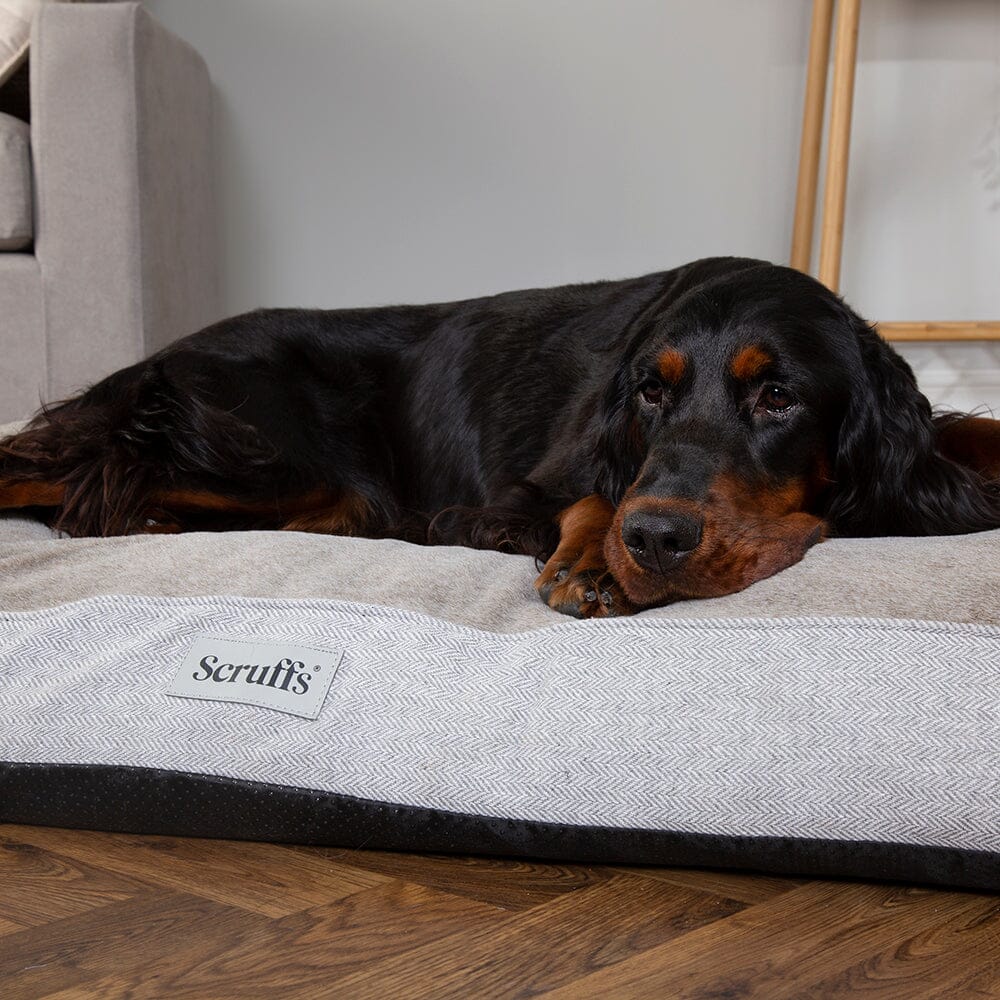 Scruffs Harvard Memory Foam Mattress - Pearl Grey - Image 6
