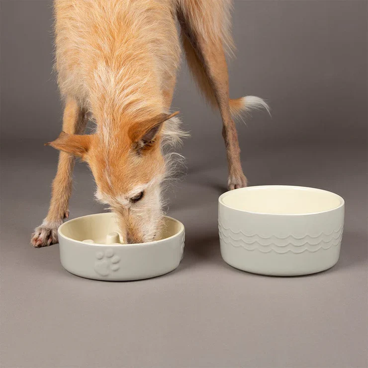 Scruffs Icon Slow Feeder Pet Bowl - Image 2