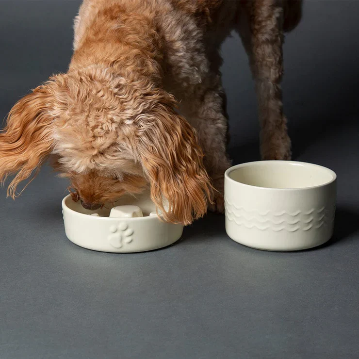 Scruffs Icon Slow Feeder Pet Bowl - Image 3